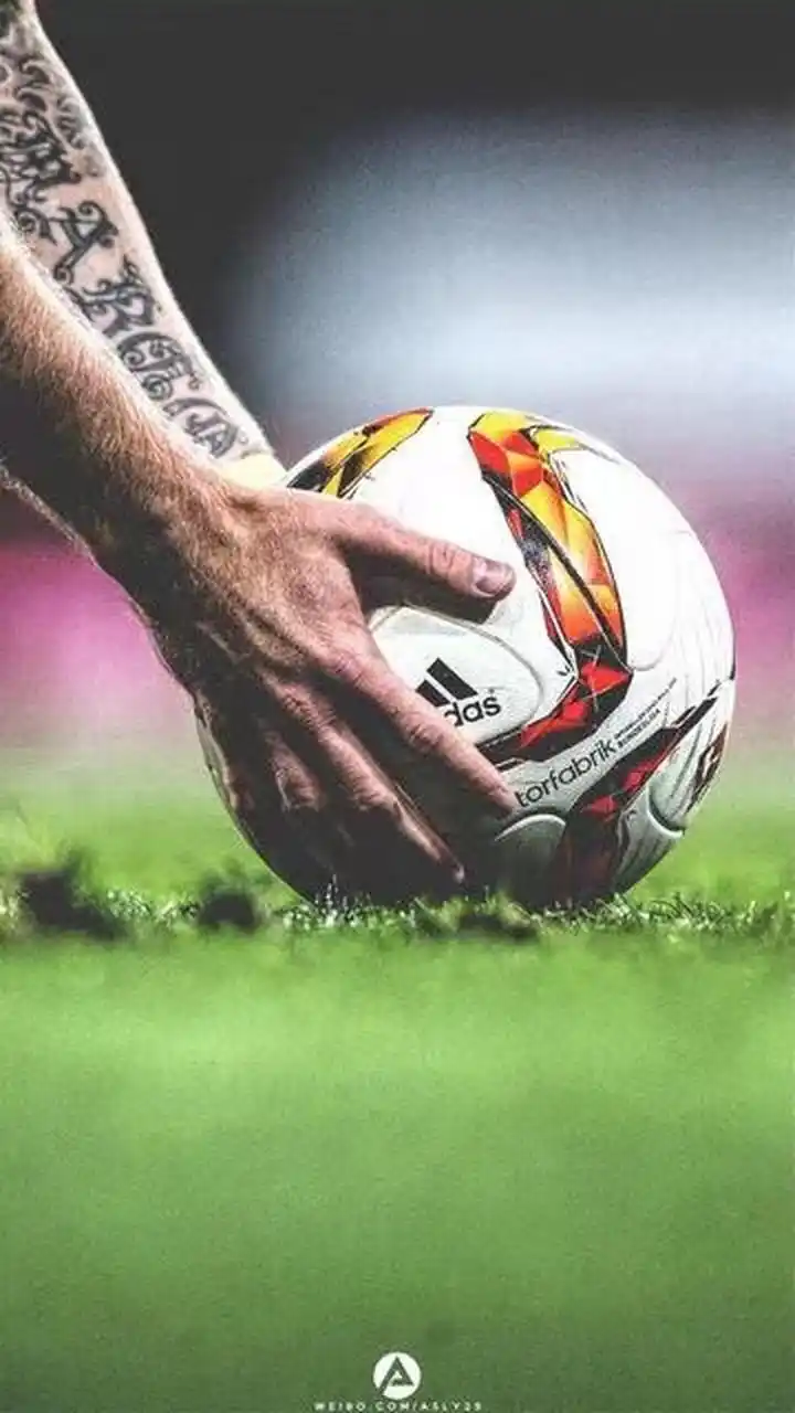 自由飞翔 自由飞翔