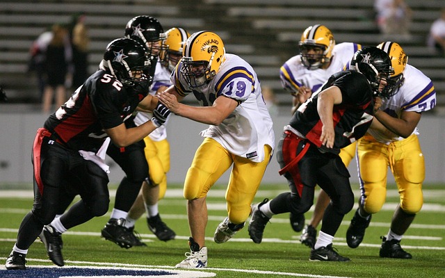 赛的走向逐 赛的走向逐