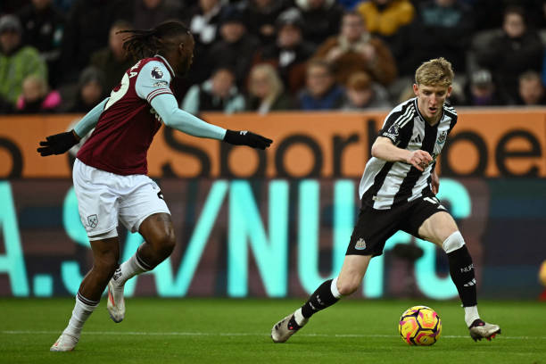 迷们关注的 迷们关注的